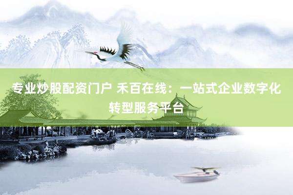 专业炒股配资门户 禾百在线：一站式企业数字化转型服务平台