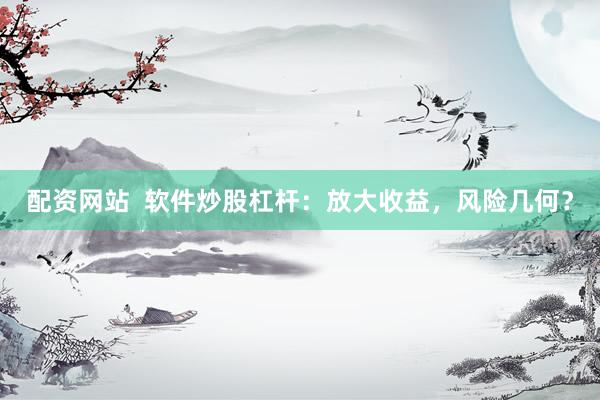 配资网站  软件炒股杠杆：放大收益，风险几何？