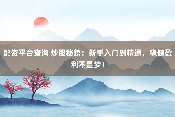 配资平台查询 炒股秘籍：新手入门到精通，稳健盈利不是梦！