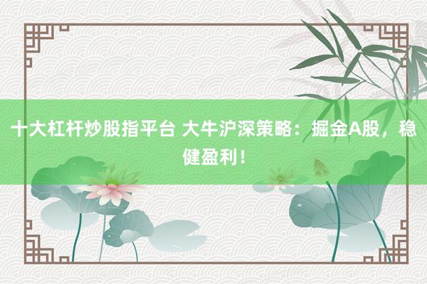 十大杠杆炒股指平台 大牛沪深策略：掘金A股，稳健盈利！