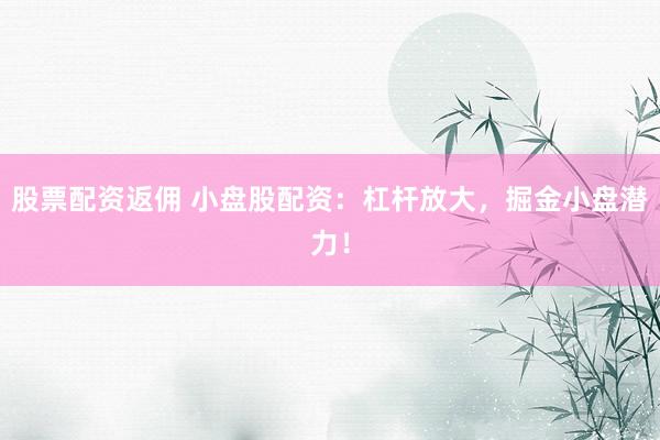 股票配资返佣 小盘股配资：杠杆放大，掘金小盘潜力！