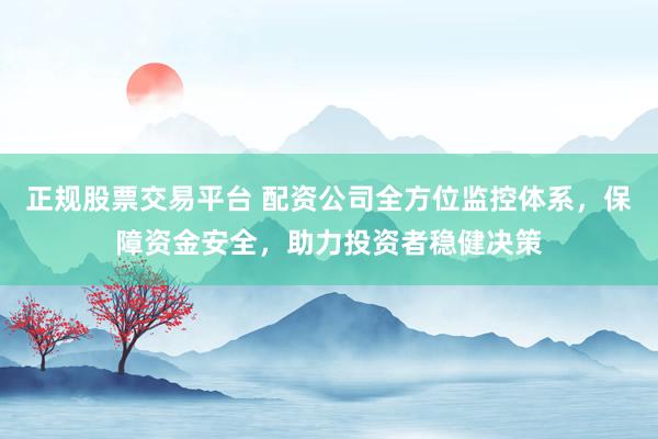 正规股票交易平台 配资公司全方位监控体系，保障资金安全，助力投资者稳健决策