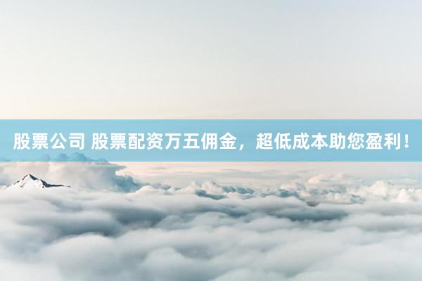 股票公司 股票配资万五佣金，超低成本助您盈利！